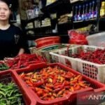 Harga pangan Rabu ini,  cabai rawit Rp67.350/kg dan telur ayam Rp29.350/kg
