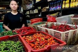 Harga pangan Rabu ini,  cabai rawit Rp67.350/kg dan telur ayam Rp29.350/kg