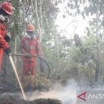 Pemerintah perkuat modifikasi cuaca untuk atasi karhutla di Kalimantan