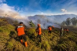 TRC BPBD Lumajang tangani karhutla di kawasan B29 Bromo