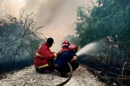 BNPB minta negara-negara tak saling menyalahkan soal asap karhutla