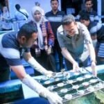 Kemendag fasilitasi UMKM ekspor produk lewat “businees matching”