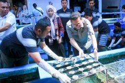 Kemendag fasilitasi UMKM ekspor produk lewat "businees matching"