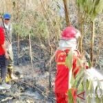 Indonesia steps up peatland wetting to fight South Kalimantan fires