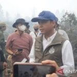 Ministry to deploy 1,000 rangers to extinguish Kalimantan wildfires