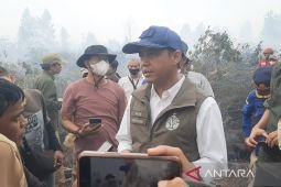 Ministry to deploy 1,000 rangers to extinguish Kalimantan wildfires