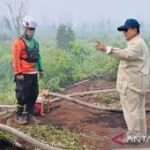 Prabowo akan tinjau penanganan karhutla di wilayah Sumatera