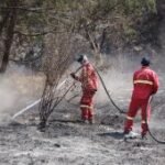Kemenhut lakukan pendinginan karhutla Bromo pastikan tak ada bara api