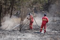 Kemenhut lakukan pendinginan karhutla Bromo pastikan tak ada bara api