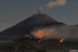 Kebakaran di kawasan pendakian Semeru