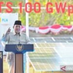 Dari Bali, Presiden menuju NTT cek penanganan gempa