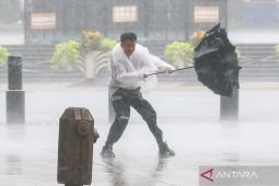 Topan Dolphin picu evakuasi 1,5 juta warga di pesisir China timur