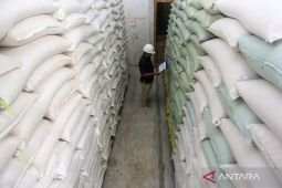 Dirut Bulog siapkan pengalihan sebagian CBP jadi beras premium
