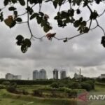 BMKG: Kamis ini mayoritas wilayah RI berpotensi berawan hingga hujan ringan