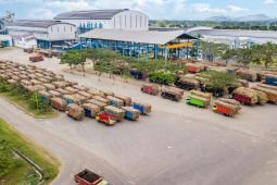 SGN catat realisasi giling tebu semester I capai 3,12 juta ton