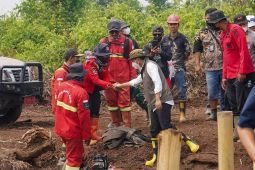Indonesia's wildfire response covers healthcare, social support: gov't