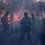 Kebakaran hutan TN Way Kambas masih dalam proses pemadaman
