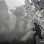 TNI mobilizes 14,167 soldiers to support firefighting operations