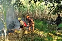 BPBD Magetan ingatkan jangan sembarangan nyalakan api di area mudah terbakar