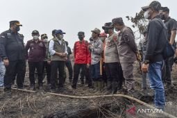 Menhut pastikan pemerintah percepat penanganan karhutla