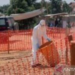 PBB: Ebola di RD Kongo menyebar cepat, 1.250 kematian dalam 20 hari