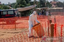 PBB: Ebola di RD Kongo menyebar cepat, 1.250 kematian dalam 20 hari