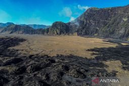 Titik api karhutla kawasan Bromo di Probolinggo sudah padam
