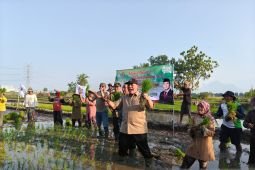 Bambang Haryo apresiasi Desa Wonokalang tiga kali tanam padi