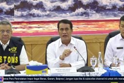 Mentan: Penindakan impor beras ilegal lindungi petani, jaga swasembada