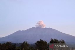 Jalur pendakian Gunung Raung ditutup akibat kebakaran