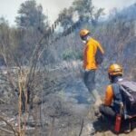 BPBD Lumajang imbau warga Desa Ranupani waspadai karhutla Semeru