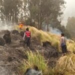 Kemenhut bentuk tim khusus selidiki dugaan pidana karhutla Bromo