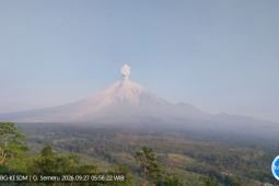 Gunung Semeru erupsi dengan tinggi letusan capai 1.300 meter di atas punca