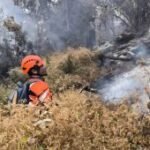 Tim gabungan tangani kebakaran hutan di Gunung Butak Jawa Timur