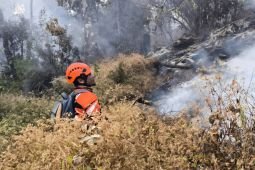 Tim gabungan tangani kebakaran hutan di Gunung Butak Jawa Timur