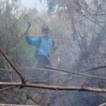 Perhutani pastikan kebakaran di kawasan Gunung Butak berhasil dipadamkan