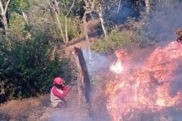 Asap tebal jadi tantangan pemadaman karhutla di Bromo dan Gunung Butak