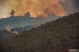 TNBTS tutup total aktivitas wisata Bromo demi percepat pemadaman