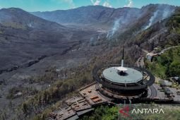 BPBD Jatim: "Water Bombing" kebakaran di Bromo terkendala cuaca