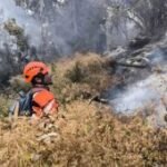 Perhutani: Area terdampak karhutla Butak dan Kawinajang sekitar 700 ha