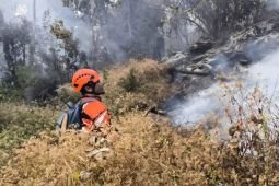 Perhutani: Area terdampak karhutla Butak dan Kawinajang sekitar 700 ha