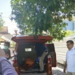 Polisi selidiki kematian WNA Australia dan dua anaknya di Legian Bali