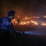 West, Central Kalimantan top priority as fire hotspots rise: Minister