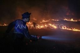 West, Central Kalimantan top priority as fire hotspots rise: Minister