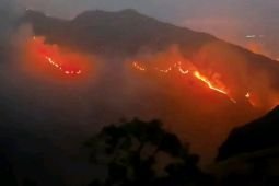 Luas kebakaran lahan di Gunung Rinjani capai 589 hektare