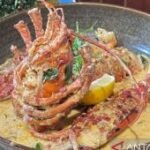 Pecinta seafood dapat menikmati American lobster di Surabaya