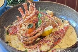 Pecinta seafood dapat menikmati American lobster di Surabaya