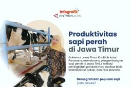 Produktivitas sapi perah di Jawa Timur