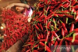 Harga pangan Jumat ini, cabai rawit Rp83.050/kg dan telur ayam Rp29.650/kg
