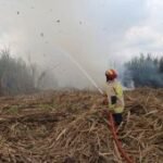 Damkar Tulungagung padamkan kebakaran 0,56 hektare lahan tebu